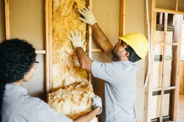 Best Attic Insulation Installation  in Lahaina, HI